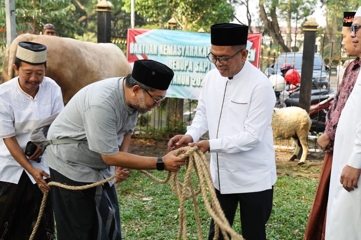Gubernur Banten Andra Soni  Salurkan Hewan Kurban Presiden Prabowo  Ke Masyarakat