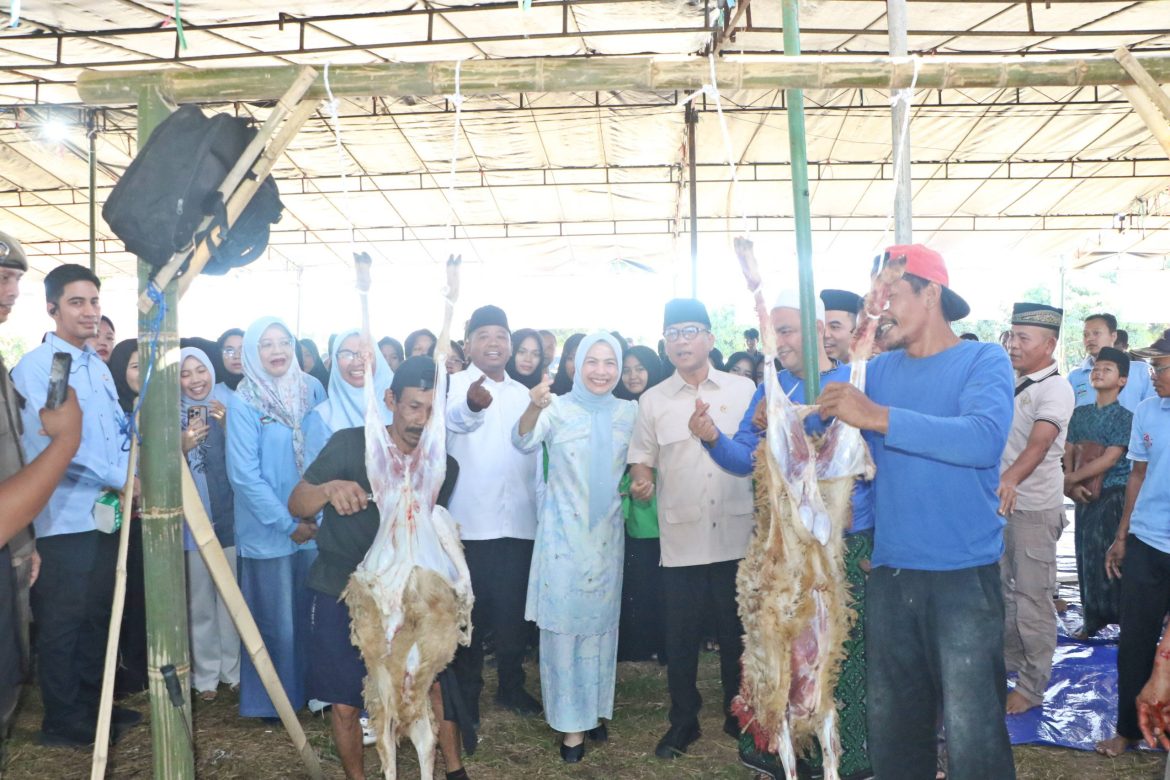 Sembelih Hewan Kurban 1.000 Domba, Bupati Serang Sebut jadi Pilot Project di Indonesia