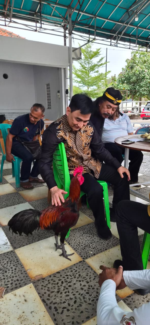 Hadiri Kontes Ayam Pelung, Wagub Banten Dukung Pelestarian Kearifan Lokal